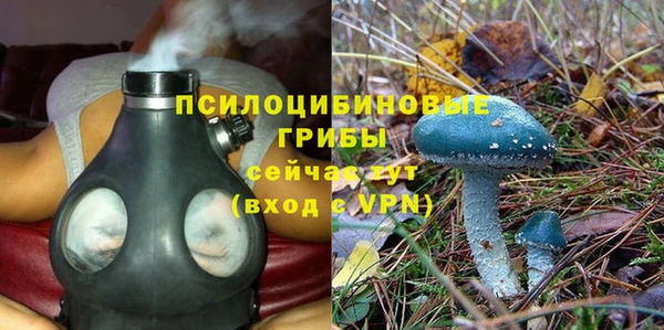 спайс Арсеньев