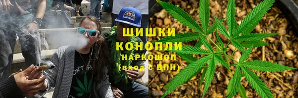 спайс Арсеньев