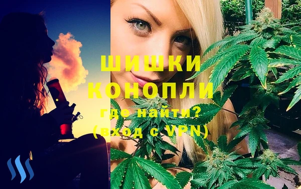 круглые Аркадак